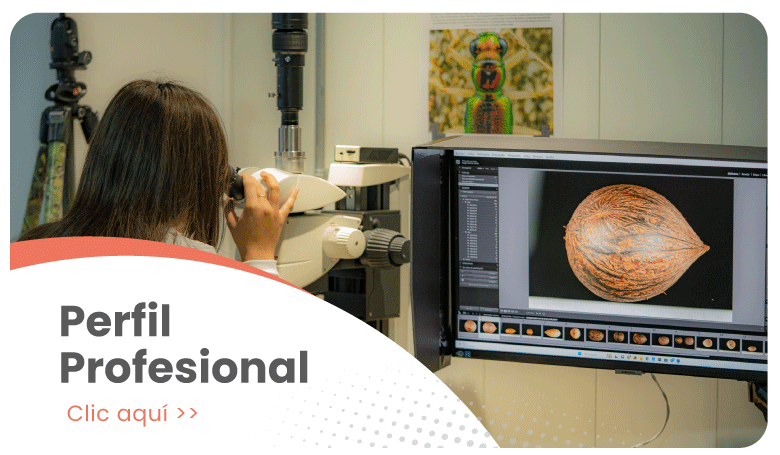 Información sobre el perfil profesional