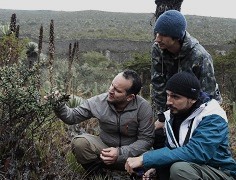 Menos tiempo, más impacto: así es ahora Biología Ambiental